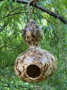 Handmade Speckled Gourd Birdhouse - Brown